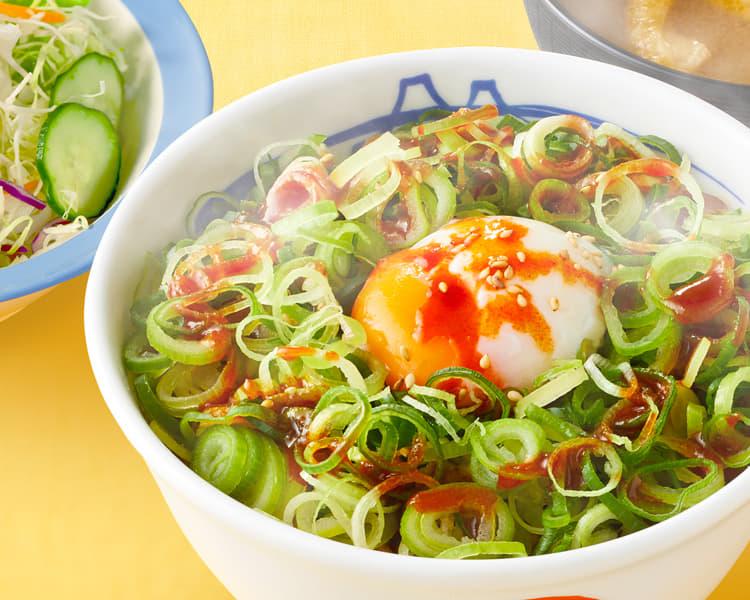 ネギたっぷり旨辛ネギたま牛めしランチセット小盛